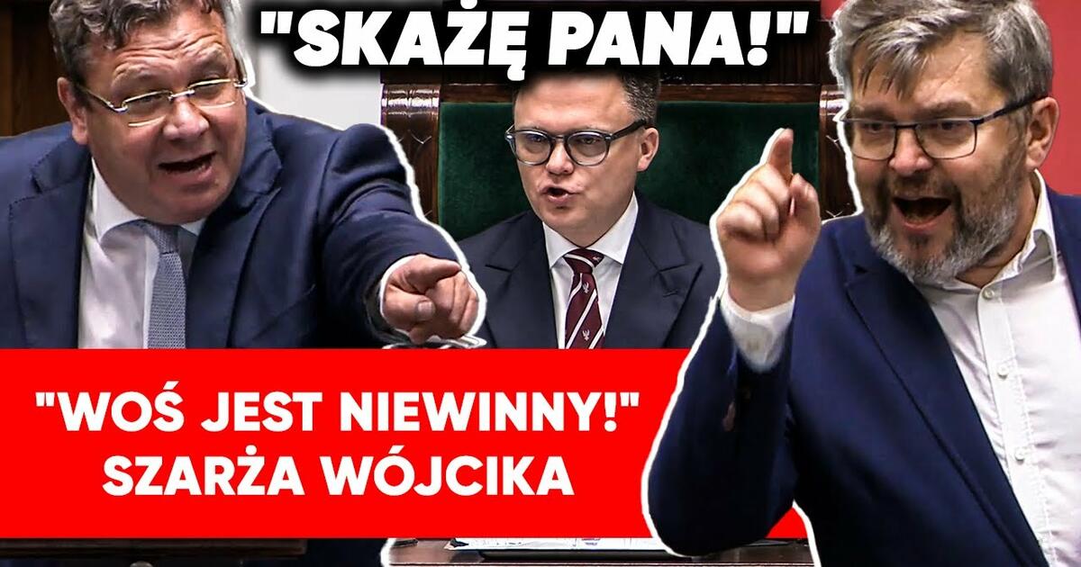 Wrzawa w Sejmie. Wójcik stracił cierpliwość: Skażę panią, pana!